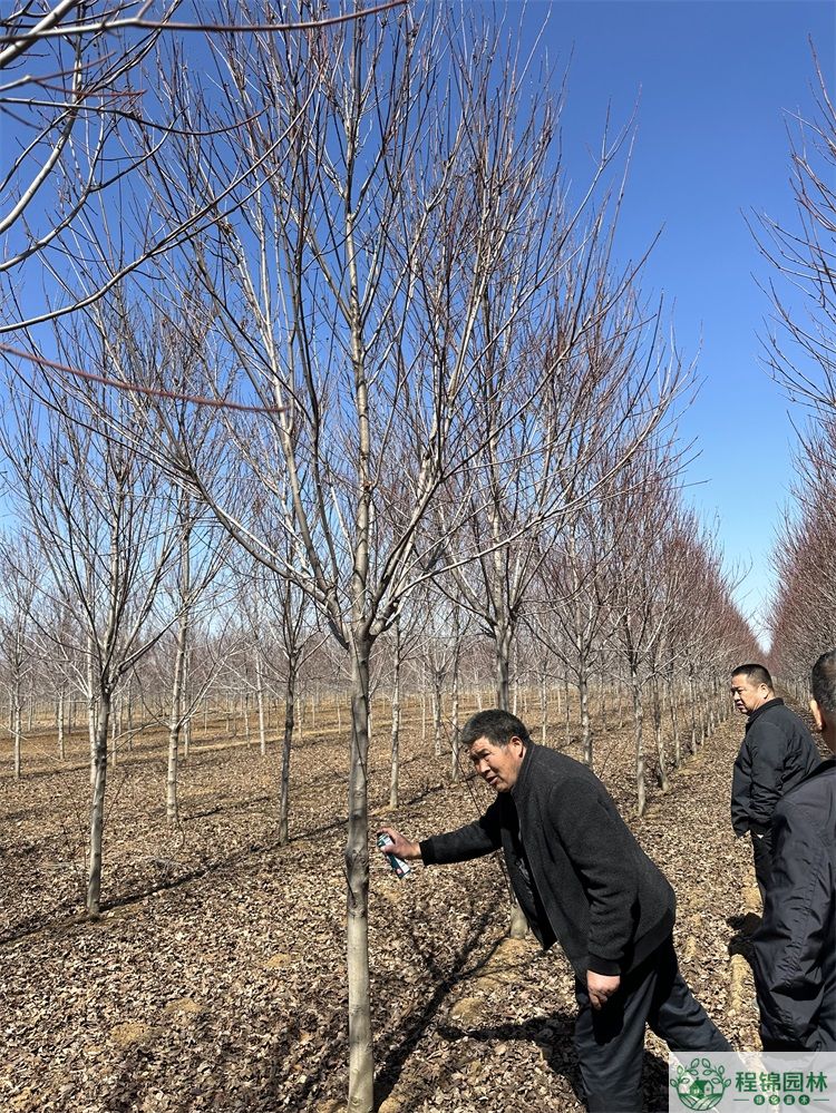 秋葵APP官方网站地址进入